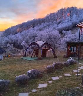 Cristolt Other | Camping Poiana Stelelor