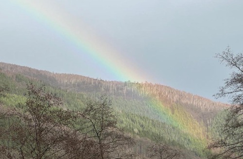Riu de Mori Other | Camping Valea Călugărilor