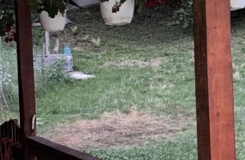 Riu de Mori Other | Camping Valea Călugărilor