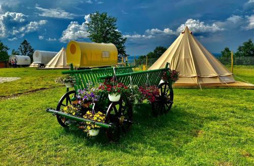Vest Other | Carul cu Stele-Glamping