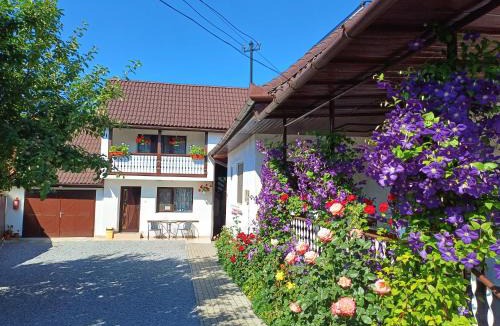 Sovata House | Casa Șallai