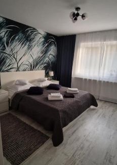 Sacele Villa | Casa Alice