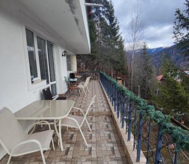 Sinaia Villa | Casa Ana