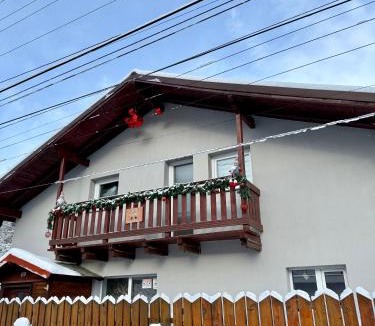 Azuga House | Casa Aramis