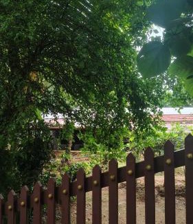 Wadakanchery Villa | Casa Areca