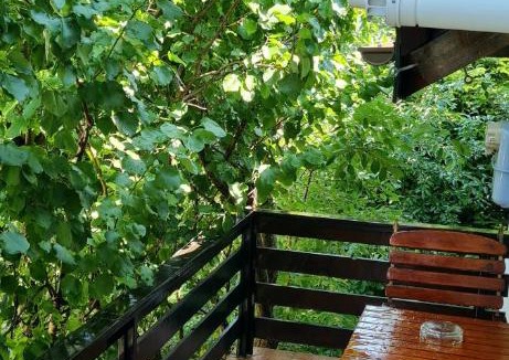Sinpetru Apartment | CASA ARYAN