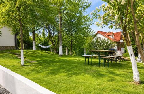 Moacsa House | Casa Bando