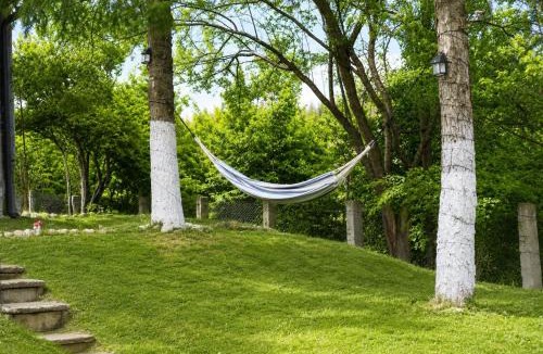 Moacsa House | Casa Bando