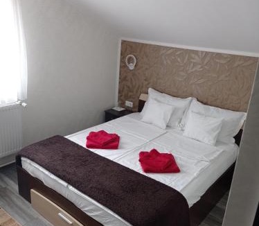 Alba Iulia House | Casa Borza