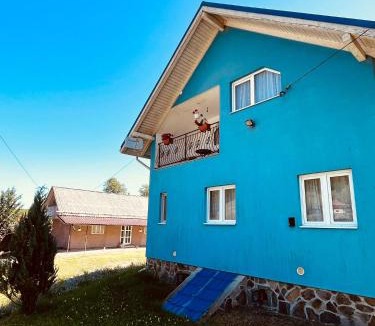 Damuc House | Casa Butunoi