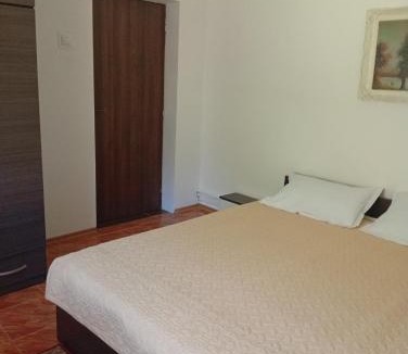 Tirgu Ocna House | Casa Carmen