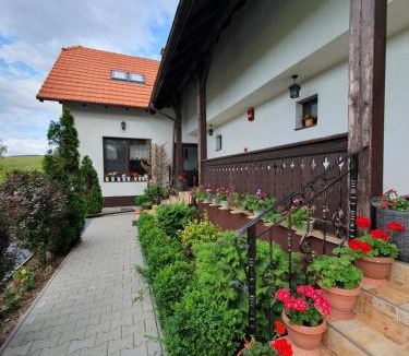 Sinmartin House | Casa Cu Pridvor