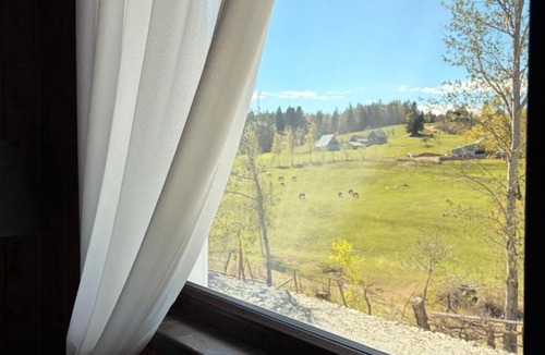 Calatele Ski Chalet | Casa de Lângă Mesteceni