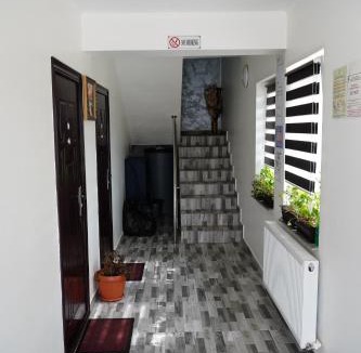 Tirgu Jiu House | Casa de la Nuc
