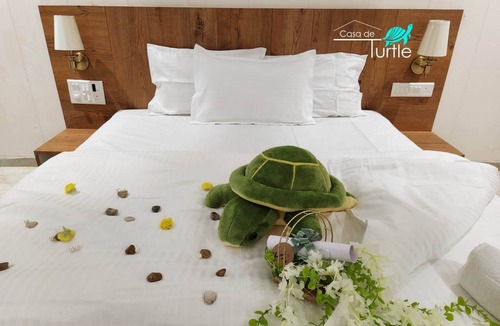 Shrivardhan Resort | Casa De Turtle