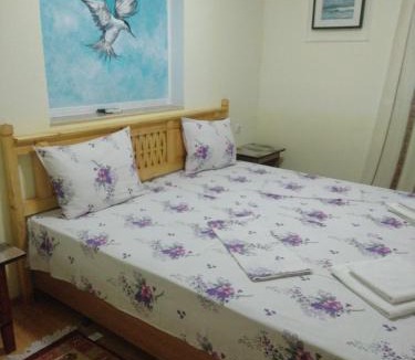 Sulina Bed & Breakfast | Casa de vacanta ,Puiu & Nelly,