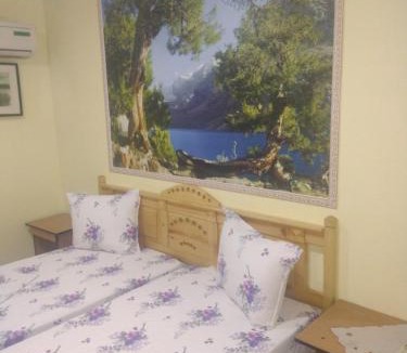 Sulina Bed & Breakfast | Casa de vacanta ,Puiu & Nelly,