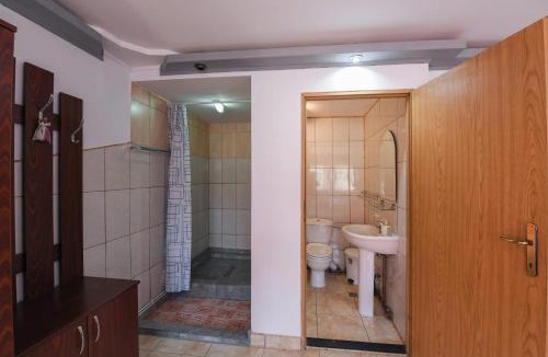 Vatra Dornei House | Casa Delia