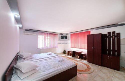 Vatra Dornei House | Casa Delia