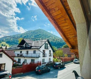 Zarnesti House | Casa Didi