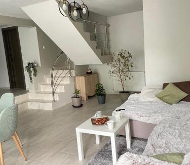 Baile Olanesti House | Casa din pădure