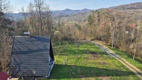 Arefu House | Casa Dobrin