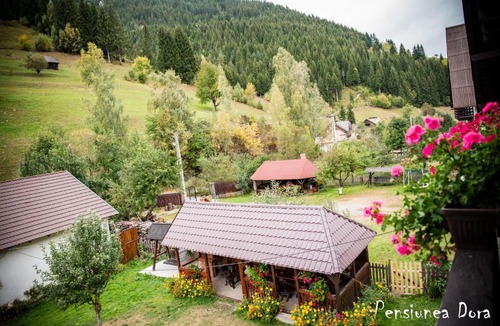 Moeciu de Sus House | Casa Dora