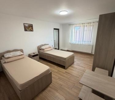 Nucet Hotel | Casa Drăghici