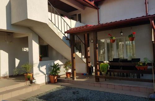 Sulina House | CASA DRAGON