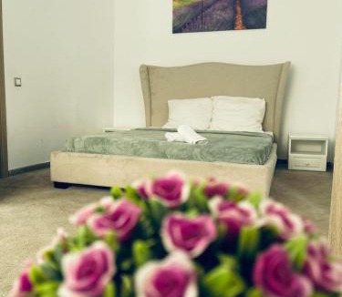 Sura Mare House | Casa Dumbrăvița
