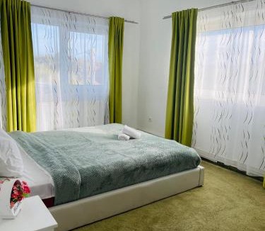 Sura Mare House | Casa Dumbrăvița
