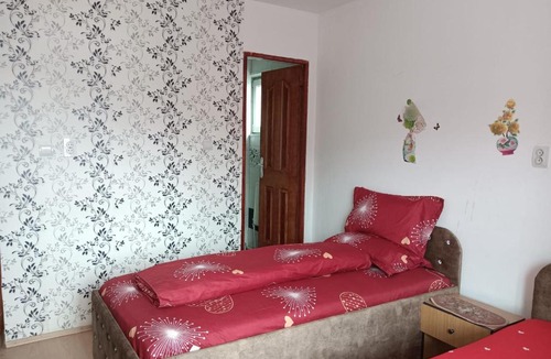 Vatra Dornei House | Casa Emilia