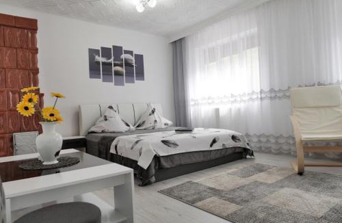 Baile Herculane Villa | Casa Fery