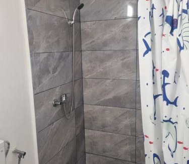 Fagaras Apartment | Casa Florentina