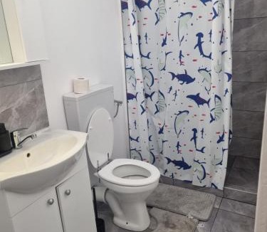 Fagaras Apartment | Casa Florentina
