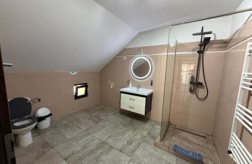 Baile Herculane House | Casa Golopența