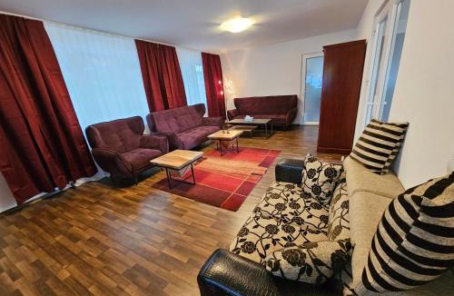 Dumbravita Villa | Casa individuală regim hotelier de închiriat