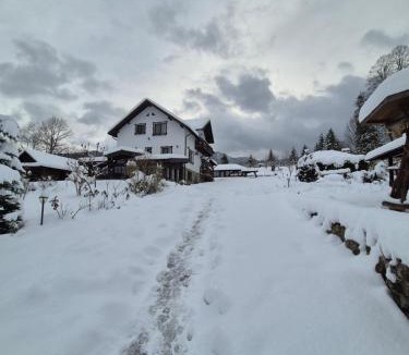 Campulung Moldovenesc House | Casa Izvorul Rarăului