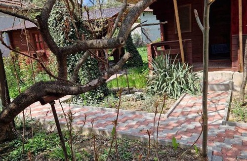 Bratca Other | Casa Jan B.