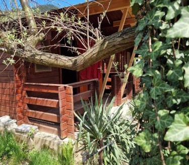 Bratca Other | Casa Jan B.