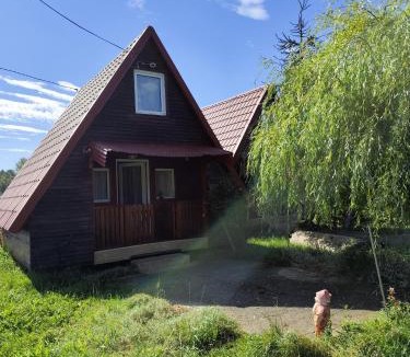 Toplita House | Casa La Andrei