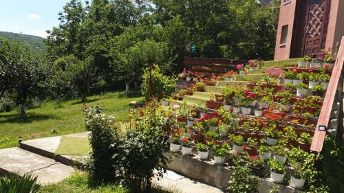 Sarata-Monteoru House | Casa Lorena