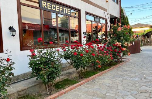 Vama Veche Hotel | Casa Luca