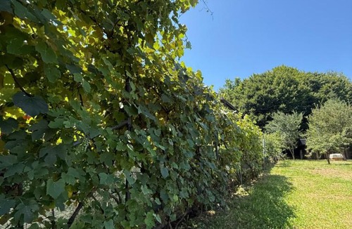 Curtea De Arges Villa | Casa MaeStar