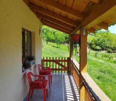 Vintu de Jos House | Casa Maria