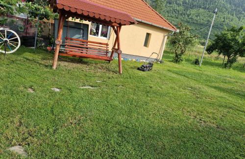 Nucsoara Cabin | Casa Marinela