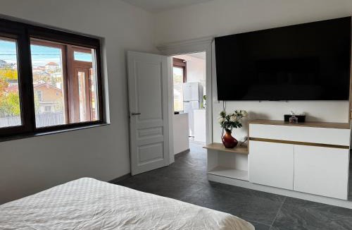 Iasi Apartment | Casa Marisor Grădină Botanica