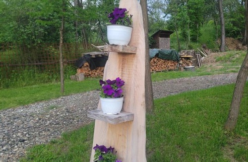 Valea Iasului Cabin | Casa Matteo & Camping