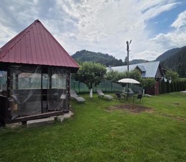 Campulung Moldovenesc House | Casa Mihaela