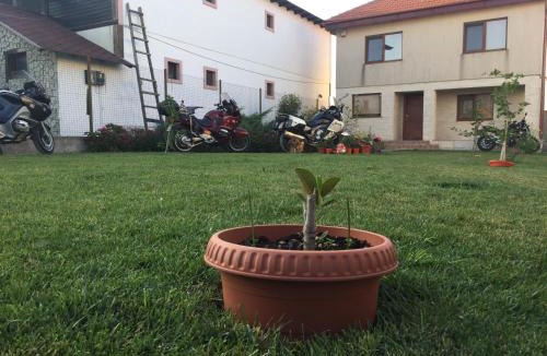 Vama Veche House | Casa Noastra